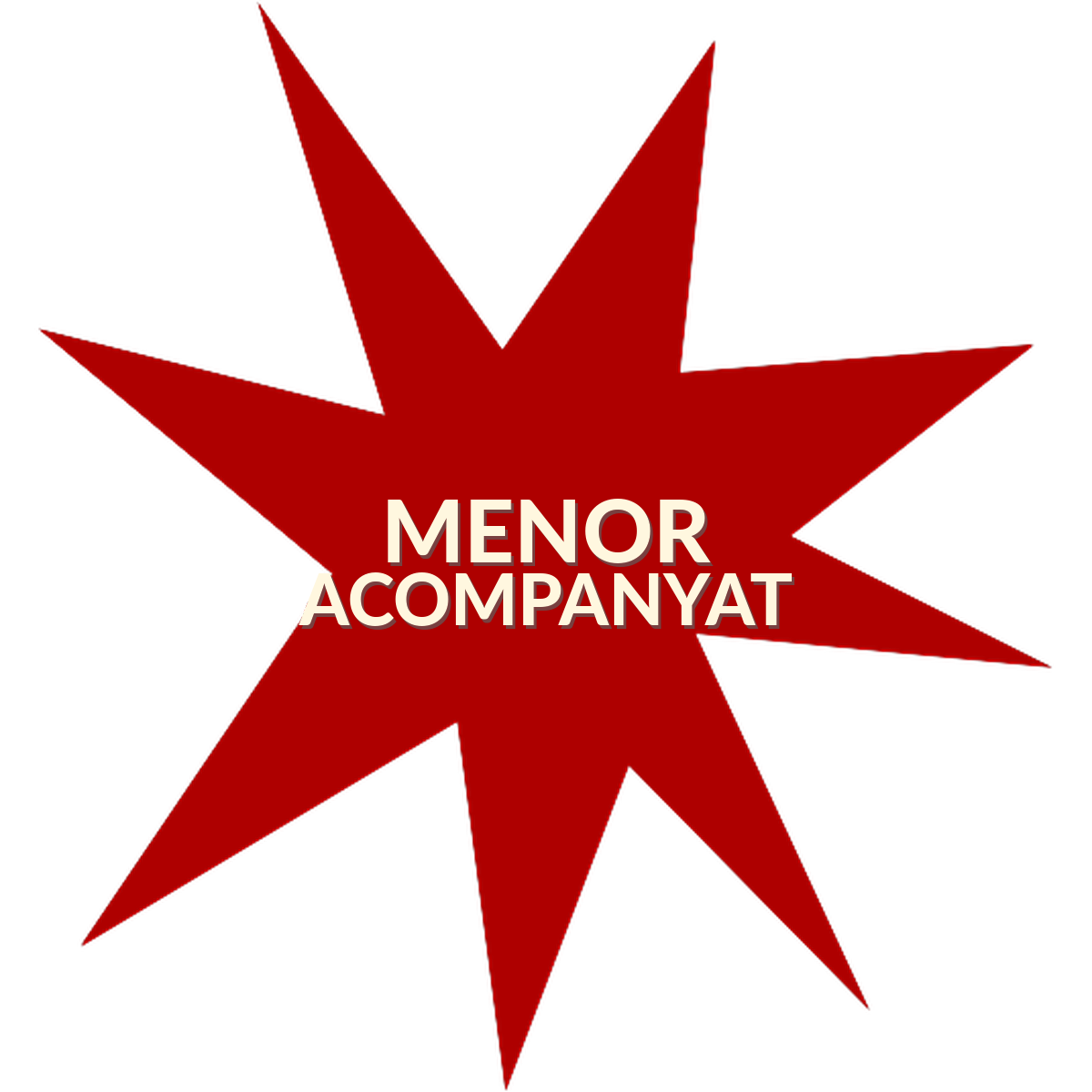 Autorització menor acompanyat